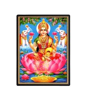 Lakshmi Laminated Photo - 5x7 Inches, Divine Blessings for Home & Office and Temple Decoration