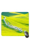 Customized Beautiful View Picture Sublimation Mouse Pad | 8 X 7.5 Inch | Smooth Cloth Surface | Non-Slip Rubber Base | Personalized Mousepad for Laptop & Desktop (F17382)
