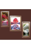 3-Pack A Glimpse of Eternity Photo Frames - 2 Pieces 6x13 Inch & 1 Piece 10x13 Inch - Rustic Wall Art for Home & Office Decor - Botanical Wall Hanging for Living Room, Bedroom, or Workspace