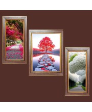 3-Pack A Glimpse of Eternity Photo Frames - 2 Pieces 10x17 Inch & 1 Piece 14x17 Inch - Rustic Wall Art for Home & Office Decor - Botanical Wall Hanging for Living Room, Bedroom, or Workspace