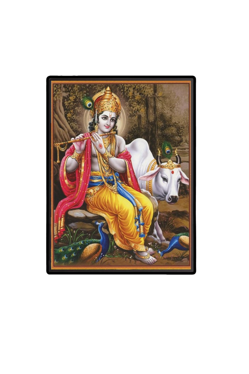 Krishna Laminated Photo - 5x7 Inches, Divine Blessings for Home & Office and Temple Decoration