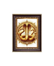 Sri Goga maharaj Digital Print Photo 6.7x8.7 inches - Vibrant Religious Wall Art for Home, Office and Temple Decor.