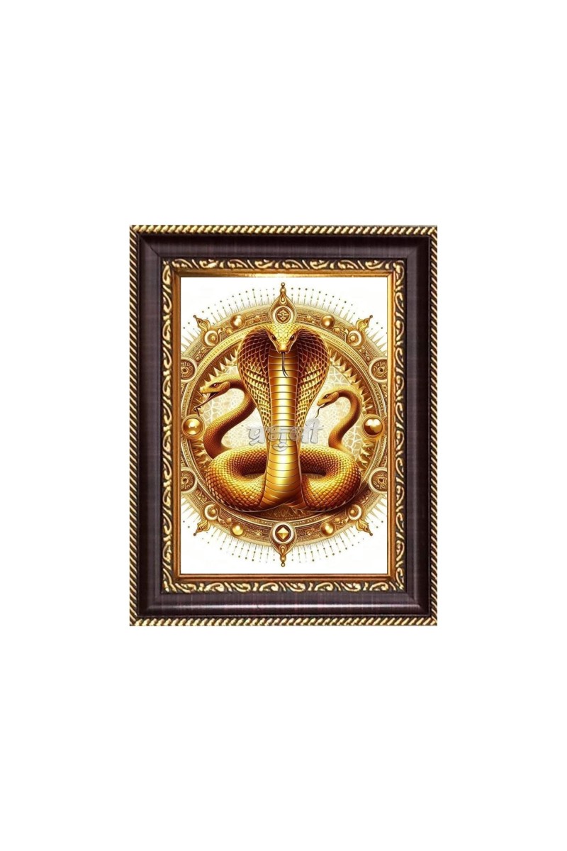 Sri Goga maharaj Digital Print Photo 6.7x8.7 inches - Vibrant Religious Wall Art for Home, Office and Temple Decor.