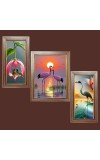 3-Pack Natureâ€™s best healing view Photo Frames - 2 Pieces 6x13 Inch & 1 Piece 10x13 Inch - Rustic Wall Art for Home & Office Decor - Botanical Wall Hanging for Living Room, Bedroom, or Workspa