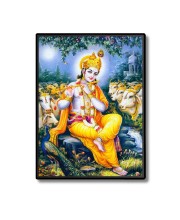 Lord Krishna Laminated Photo (13x15 Inches) Divine Blessings for Home & Office and Temple Decoration