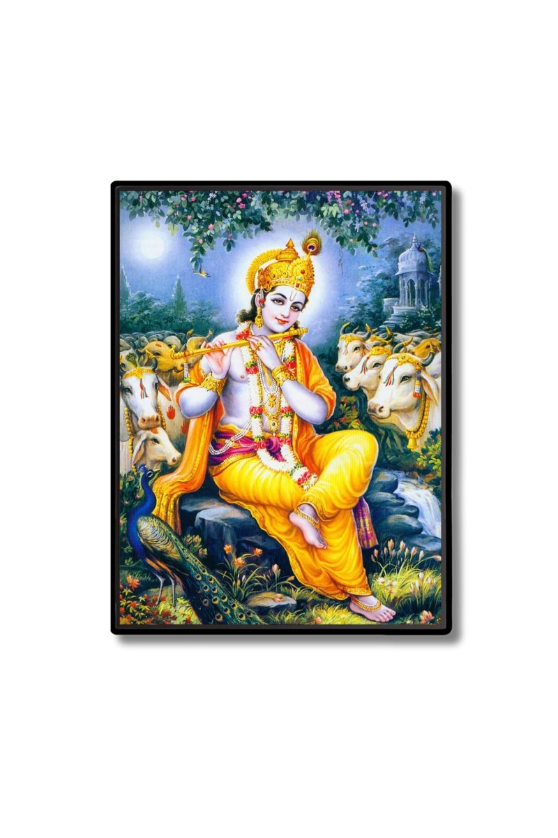 Lord Krishna Laminated Photo (13x15 Inches) Divine Blessings for Home & Office and Temple Decoration