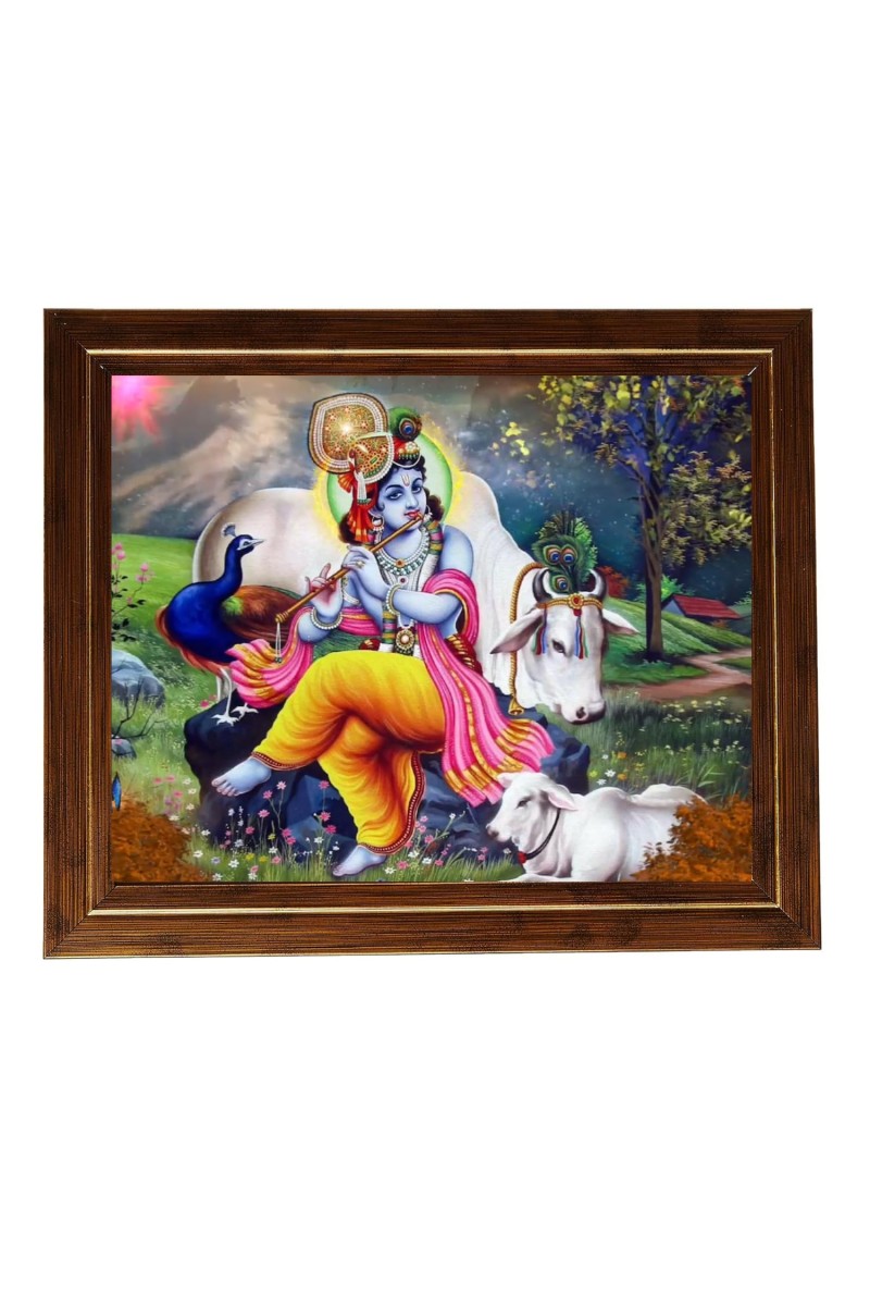 Hitech Sales Lord Sri Krishna Photo Frame for Pooja Room, Temple Decor, Home Decoration and Gift (Wall and Tabletop, Rectangular, Printed Photo, 12 x 14 inches Frame, Brown)