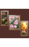 3-Pack The beautiful butterflies Photo Frames - 2 Pieces 14x21 Inch & 1 Piece 18x21 Inch - Rustic Wall Art for Home & Office Decor - Botanical Wall Hanging for Living Room, Bedroom, or Workspace