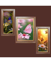 3-Pack The beautiful butterflies Photo Frames - 2 Pieces 10x17 Inch & 1 Piece 14x17 Inch - Rustic Wall Art for Home & Office Decor - Botanical Wall Hanging for Living Room, Bedroom, or Workspace