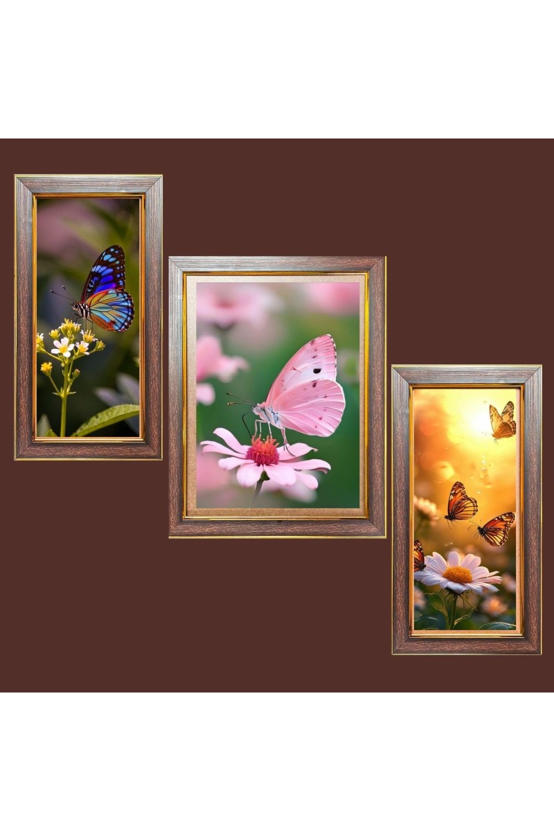 3-Pack The beautiful butterflies Photo Frames - 2 Pieces 14x21 Inch & 1 Piece 18x21 Inch - Rustic Wall Art for Home & Office Decor - Botanical Wall Hanging for Living Room, Bedroom, or Workspace