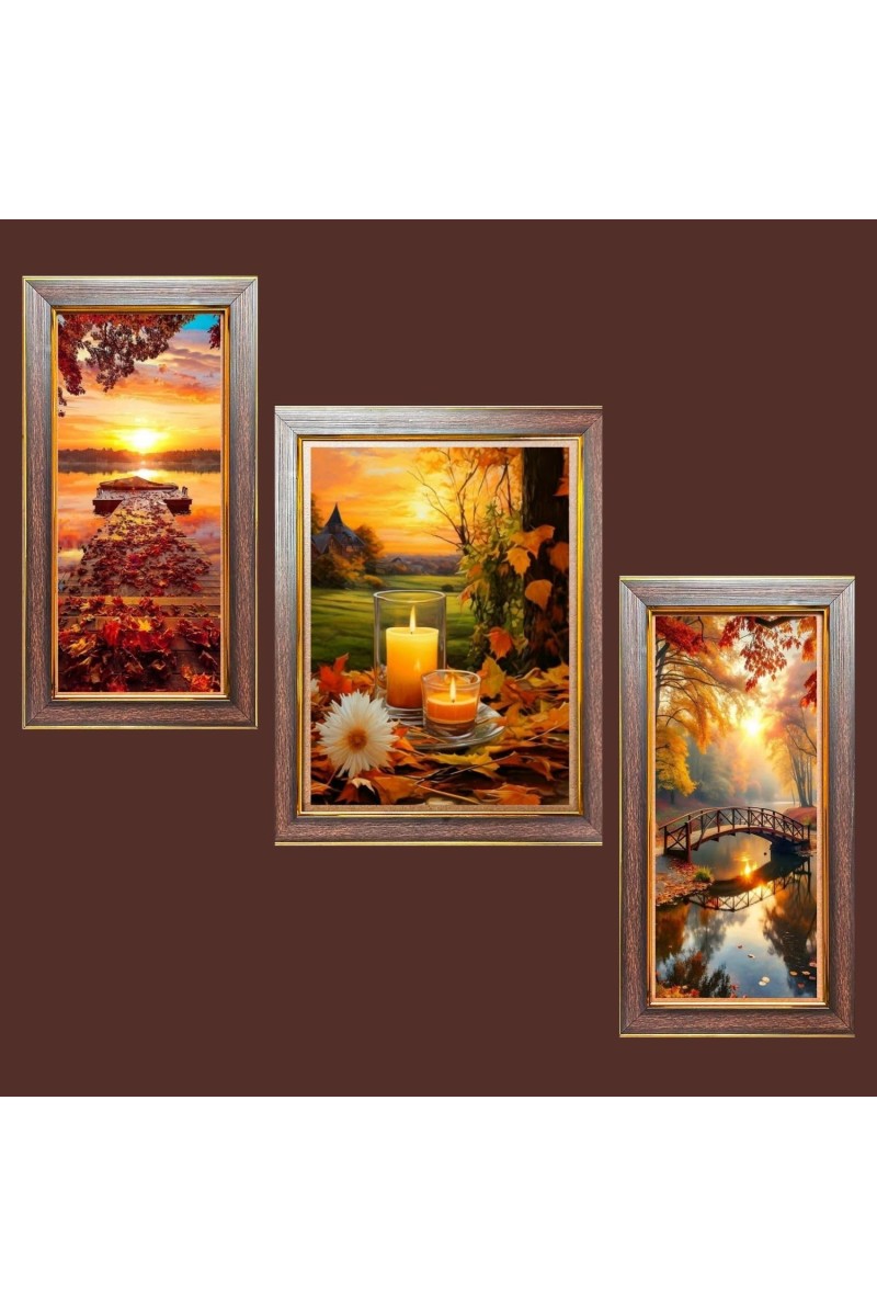 3-Pack Beneath the Sky, Beyond Time Photo Frames - 2 Pieces 6x13 Inch & 1 Piece 10x13 Inch - Rustic Wall Art for Home & Office Decor - Botanical Wall Hanging for Living Room, Bedroom, or Workspa