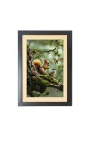 The squirrel and the bird and the butterfly Black Photo Frame Funny Animal and Bird Cartoon Art