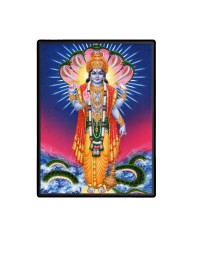 Vishnu Laminated Photo - 9x11 Inches, Divine Blessings for Home & Office and Temple Decoration