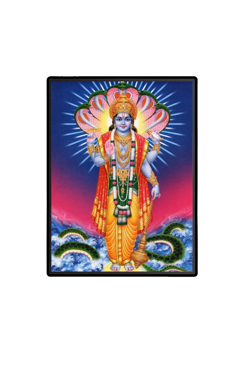 Vishnu Laminated Photo - 9x11 Inches, Divine Blessings for Home & Office and Temple Decoration