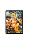 Krishna Laminated Photo - 5x7 Inches, Divine Blessings for Home & Office and Temple Decoration