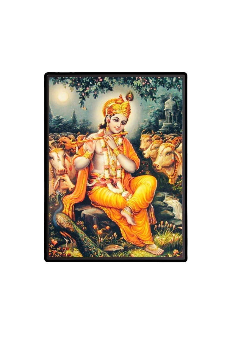 Krishna Laminated Photo - 5x7 Inches, Divine Blessings for Home & Office and Temple Decoration