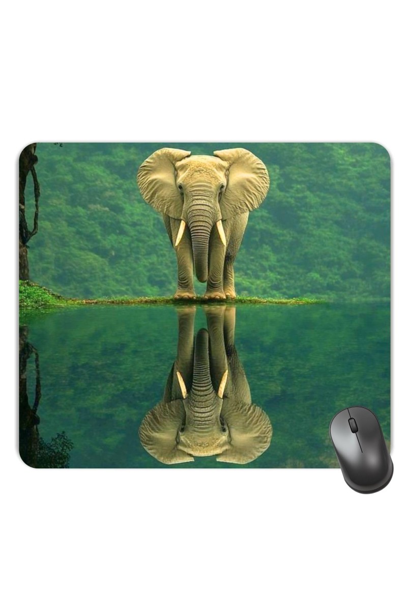 Customized Beautiful Lion Picture Sublimation Mouse Pad | 8 X 7.5 Inch | Smooth Cloth Surface | Non-Slip Rubber Base | Personalized Mousepad for Laptop & Desktop (F17283)