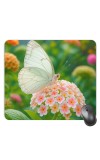 Customized Beautiful Butterfly Picture Sublimation Mouse Pad | 8 X 7.5 Inch | Smooth Cloth Surface | Non-Slip Rubber Base | Personalized Mousepad for Laptop & Desktop (F17236)