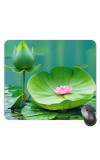 Customized Beautiful Flowers Picture Sublimation Mouse Pad | 8 X 7.5 Inch | Smooth Cloth Surface | Non-Slip Rubber Base | Personalized Mousepad for Laptop & Desktop (F17260)