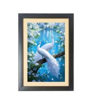 The two lovely white peacocks Black Photo Frame Funny Animal and Bird Cartoon Art