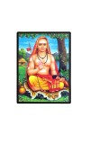 Adi Shankaracharya Laminated Photo - 7x9 Inches, Divine Blessings for Home & Office and Temple Decoration