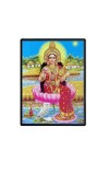 Maa Lakshmi Laminated Photo (7x9 Inches) Divine Blessings for Home & Office and Temple Decoration