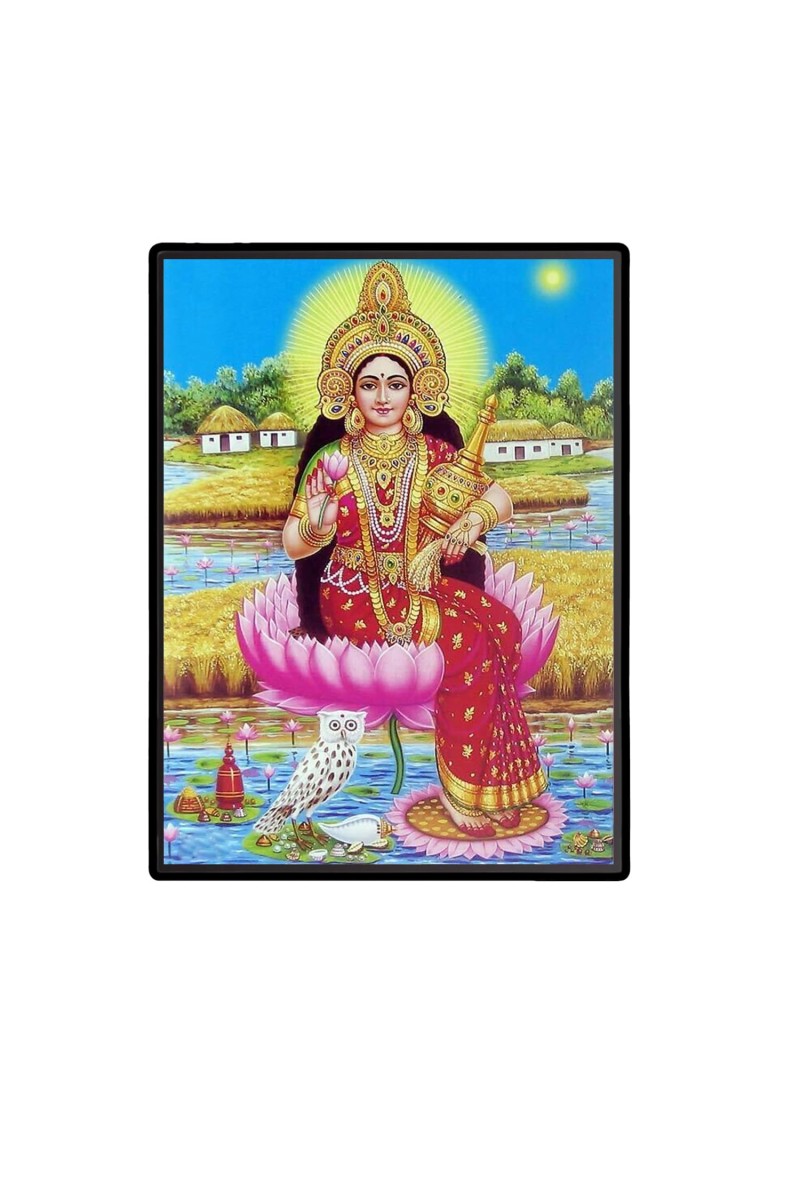 Maa Lakshmi Laminated Photo (7x9 Inches) Divine Blessings for Home & Office and Temple Decoration