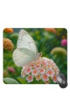 Customized Beautiful Butterfly Picture Sublimation Mouse Pad | 8 X 7.5 Inch | Smooth Cloth Surface | Non-Slip Rubber Base | Personalized Mousepad for Laptop & Desktop (F17459)