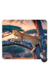 Customized Wild Tiger Picture Sublimation Mouse Pad | 8 X 7.5 Inch | Smooth Cloth Surface | Non-Slip Rubber Base | Personalized Mousepad for Laptop & Desktop (F17340)