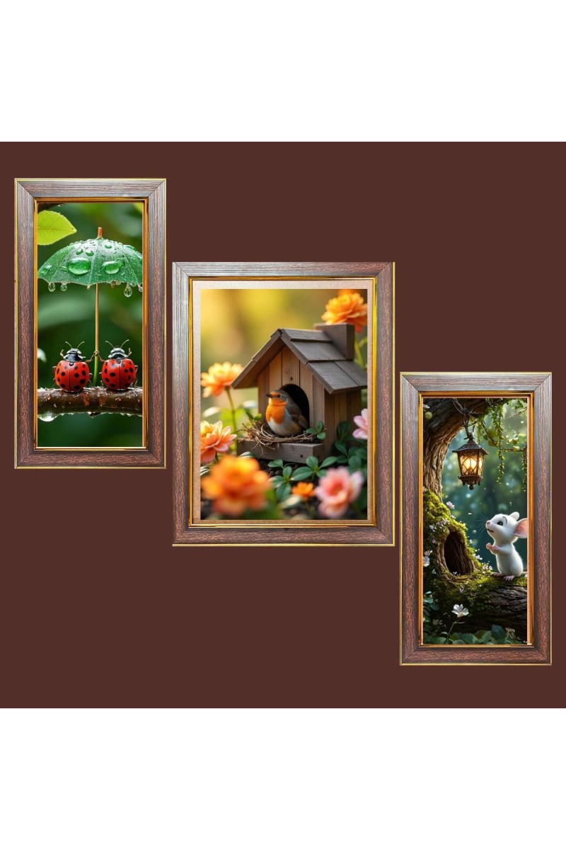 3-Pack The Birdâ€™s Eye View Photo Frames - 2 Pieces 6x13 Inch & 1 Piece 10x13 Inch - Rustic Wall Art for Home & Office Decor - Botanical Wall Hanging for Living Room, Bedroom, or Workspace