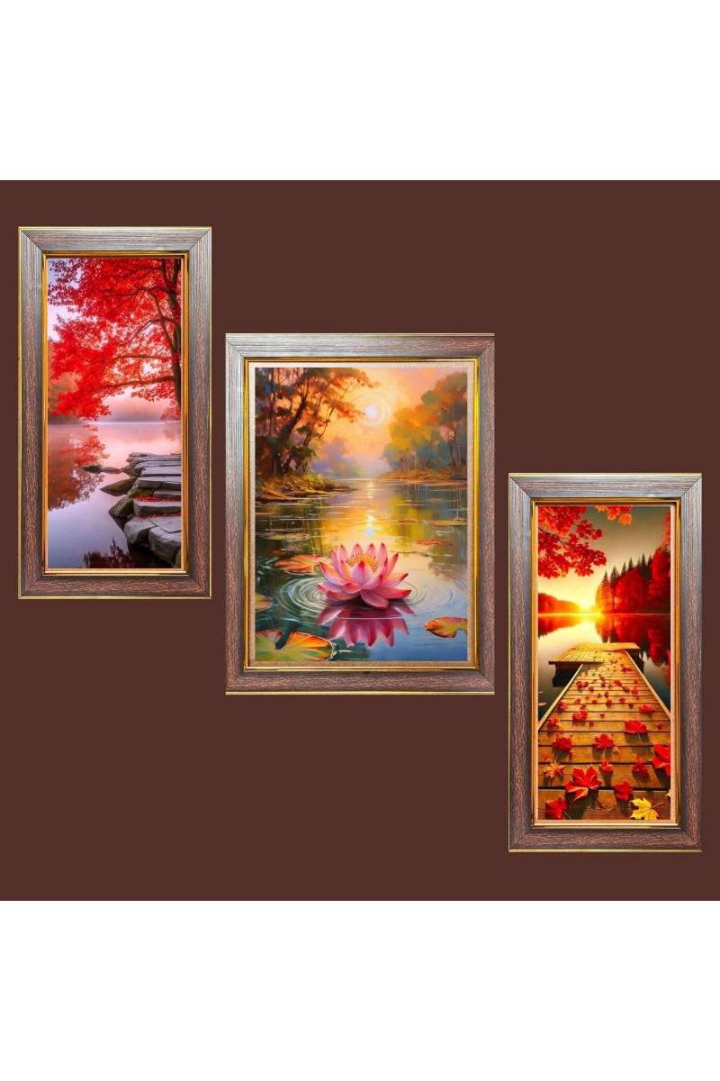 3-Pack Chasing Sunsets, Catching Stars Photo Frames - 2 Pieces 14x21 Inch & 1 Piece 18x21 Inch - Rustic Wall Art for Home & Office Decor - Botanical Wall Hanging for Living Room, Bedroom, or Wor