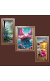 3-Pack Beautiful view Photo Frames - 2 Pieces 8x15 Inch & 1 Piece 12x15 Inch - Rustic Wall Art for Home & Office Decor - Botanical Wall Hanging for Living Room, Bedroom, or Workspace