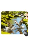 Customized Cute Birds Picture Sublimation Mouse Pad | 8 X 7.5 Inch | Smooth Cloth Surface | Non-Slip Rubber Base | Personalized Mousepad for Laptop & Desktop (F17333)