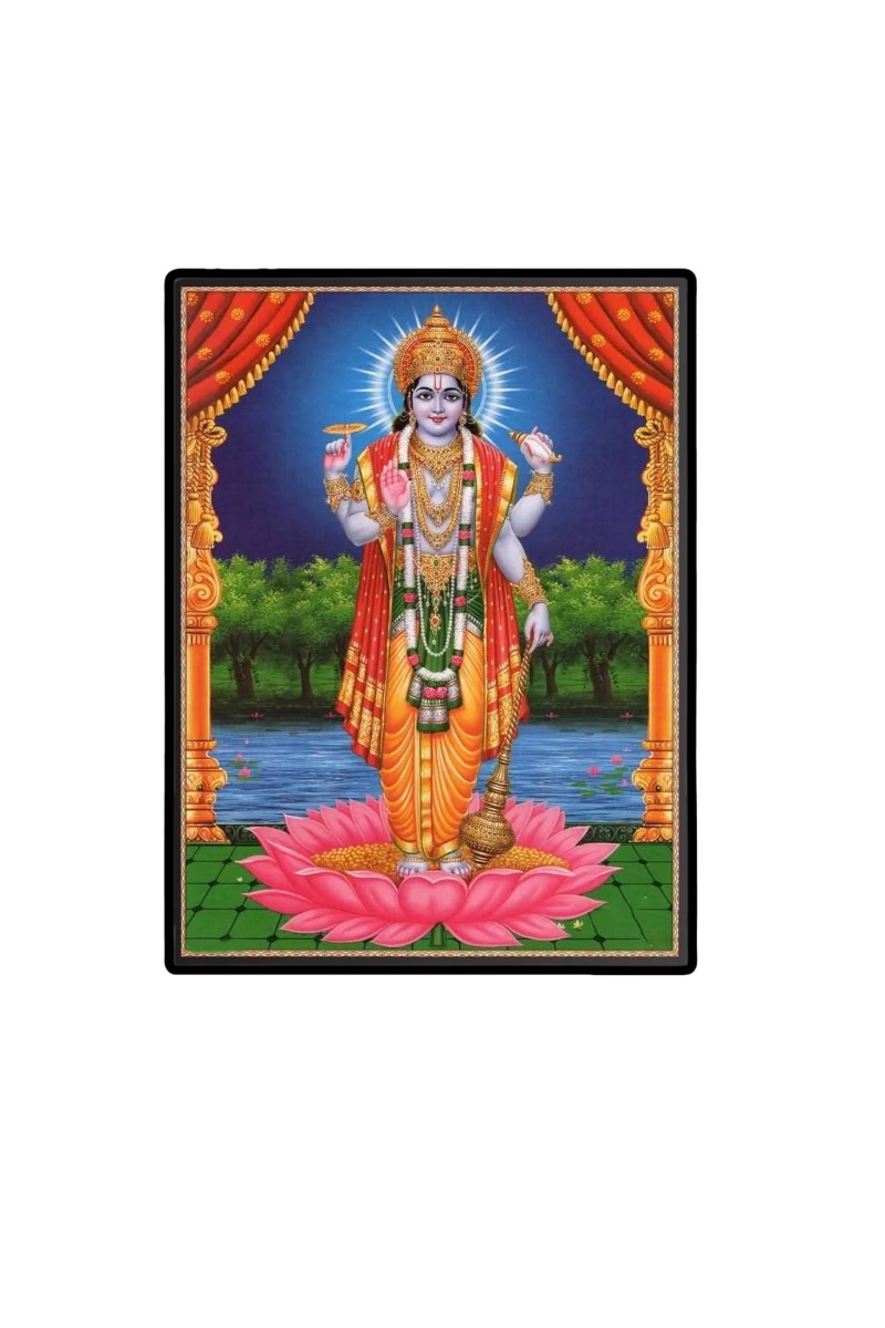 Vishnu Laminated Photo - 5x7 Inches, Divine Blessings for Home & Office and Temple Decoration