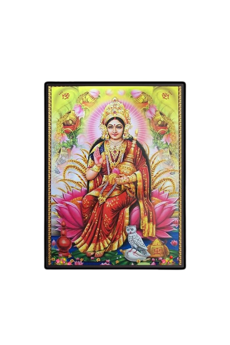 Maa Lakshmi Laminated Photo - 9x11 Inches, Divine Blessings for Home & Office and Temple Decoration