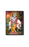 Krishna Laminated Photo - 7x9 Inches, Divine Blessings for Home & Office and Temple Decoration
