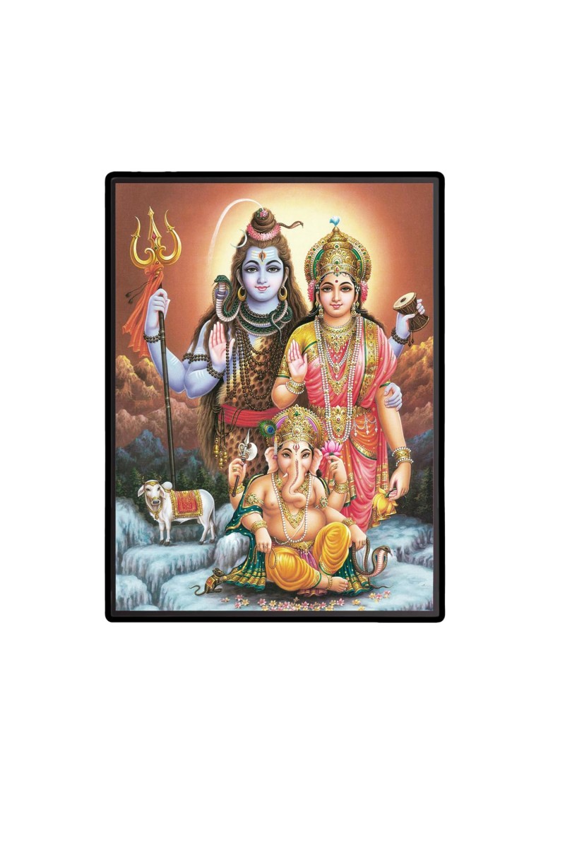 Shiva Family Laminated Photo - 5x7 Inches, Divine Blessings for Home & Office and Temple Decoration