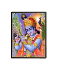 Krishna Laminated Photo (13x15 Inches Without glass) Divine Blessings for Table and Walls,Home & Office and Temple Decoration