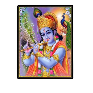 Krishna Laminated Photo (13x15 Inches Without glass) Divine Blessings for Table and Walls,Home & Office and Temple Decoration Krishna Laminated Photo (13x15 Inches Without glass) Divine Blessings for Table and Walls,Home & Office and Temple Decoration