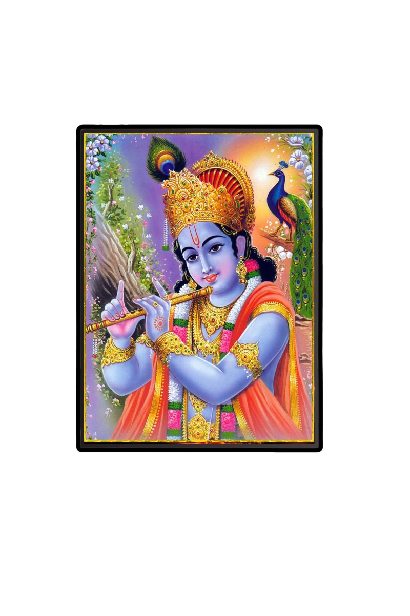 Krishna Laminated Photo - 5x7 Inches, Divine Blessings for Home & Office and Temple Decoration