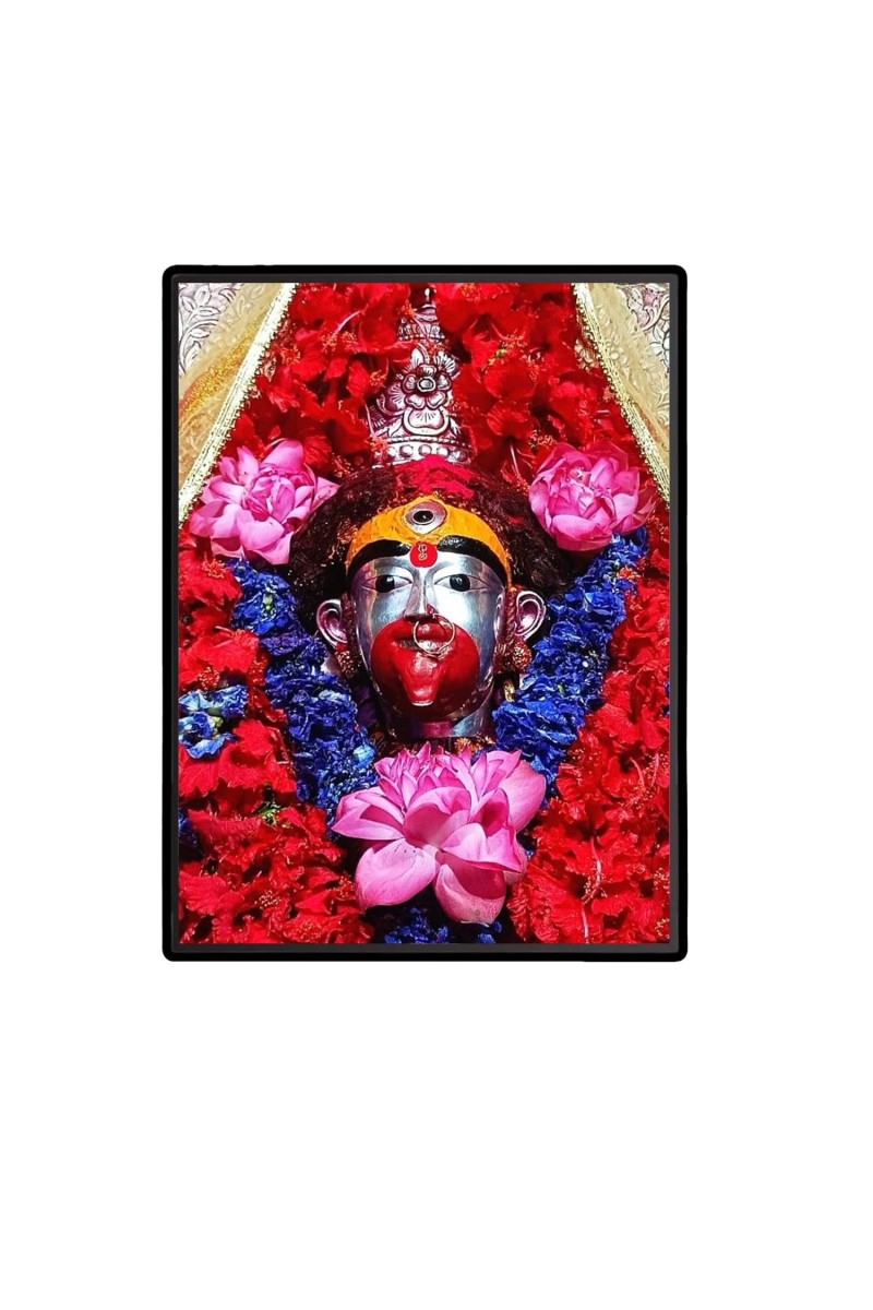 Tara Laminated Photo - 5x7 Inches, Divine Blessings for Home & Office and Temple Decoration