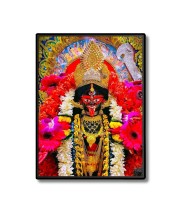Kali Laminated Photo - 5x7 Inches, Divine Blessings for Home & Office and Temple Decoration