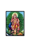 Kartikeya Laminated Photo - 5x7 Inches, Divine Blessings for Home & Office and Temple Decoration