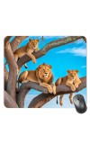 Customized Wild Lions Picture Sublimation Mouse Pad | 8 X 7.5 Inch | Smooth Cloth Surface | Non-Slip Rubber Base | Personalized Mousepad for Laptop & Desktop (F17342)