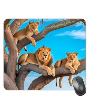 Customized Wild Lions Picture Sublimation Mouse Pad | 8 X 7.5 Inch | Smooth Cloth Surface | Non-Slip Rubber Base | Personalized Mousepad for Laptop & Desktop (F17342)