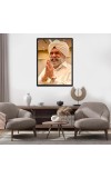 Sant Rajinder Singh Ji Maharaj Laminated Photo - 5x7 Inches, Divine Blessings for Home & Office and Temple Decoration