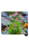 Customized Beautiful Flowers Picture Sublimation Mouse Pad | 8 X 7.5 Inch | Smooth Cloth Surface | Non-Slip Rubber Base | Personalized Mousepad for Laptop & Desktop (F17183)