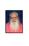 Swami Satchidananda Laminated Photo - 9x11 Inches, Divine Blessings for Home & Office and Temple Decoration