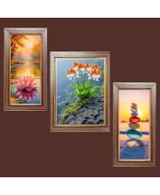 3-Pack Colorful Echoes of Nature Photo Frames - 2 Pieces 12x19 Inch & 1 Piece 16x19 Inch - Rustic Wall Art for Home & Office Decor - Botanical Wall Hanging for Living Room, Bedroom, or Workspace
