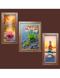 3-Pack Colorful Echoes of Nature Photo Frames - 2 Pieces 14x21 Inch & 1 Piece 18x21 Inch - Rustic Wall Art for Home & Office Decor - Botanical Wall Hanging for Living Room, Bedroom, or Workspace